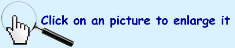 Click on a picture to enlarge it Click to enlarge